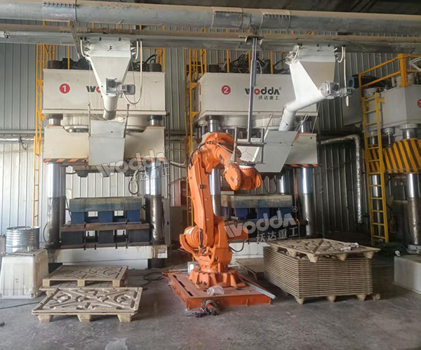 木屑托盤(pán)生產(chǎn)線現(xiàn)場(chǎng).jpg 木屑托盤(pán)生產(chǎn)線現(xiàn)場(chǎng).jpg